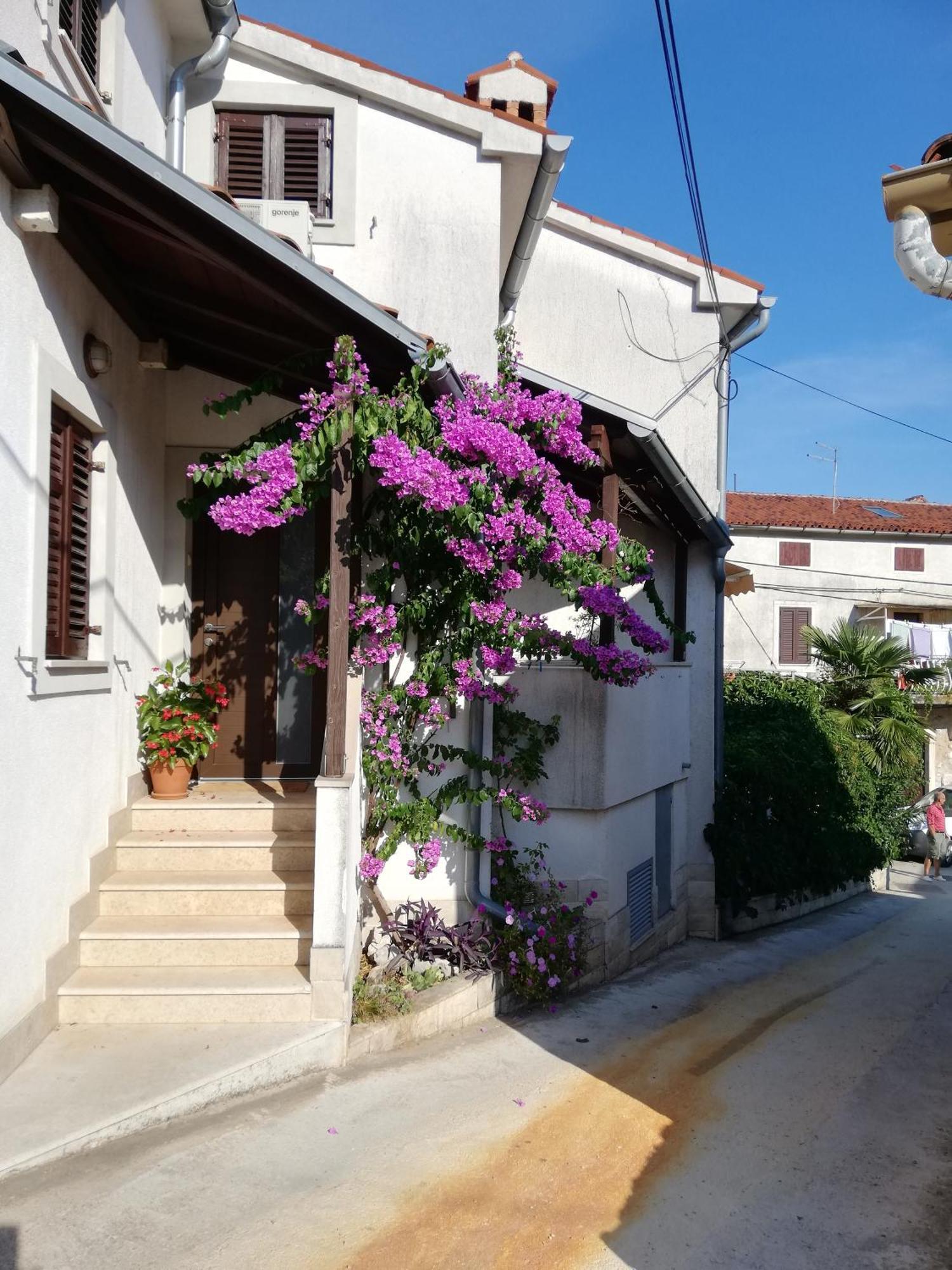 Apartments Renata - Brseč 외부 사진